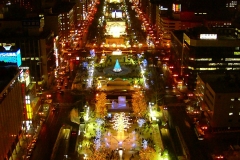 Yuki Matsuri 2005