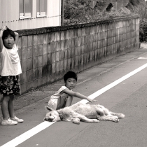 attention-chien-mort