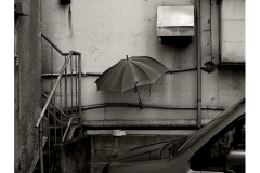 Rues embryonnaires