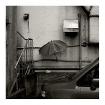 parapluie-pour-chat