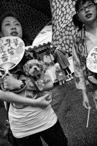 image matsuri-passantes-jpg