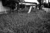 image tobgogan-herbe-jpg
