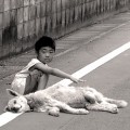 Attention, Chien mort !
