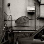 Parapluie et gamelle de fortune attendant leur chat