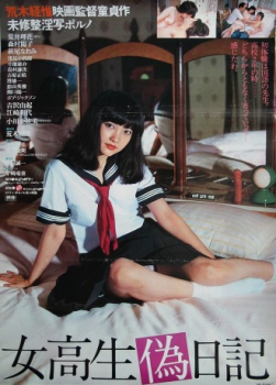 Cover High School Girl's Fake Diary